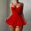 Lace Lingerie Set with Garter - Transparent Bra and Panty Sleepwear